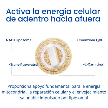 Selerb NAD+ Men’s – Energía Masculina, Rendimiento y Vitalidad Total 💪🔥